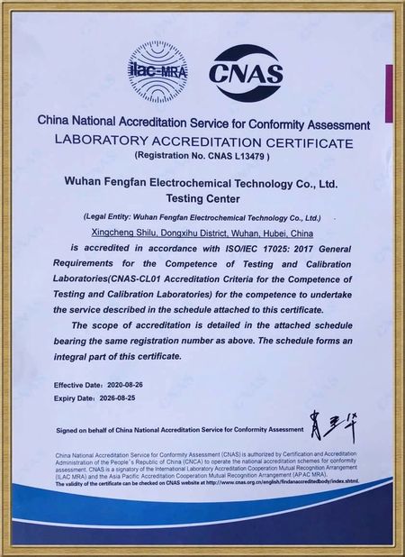 China Wuhan Fengfan International Trade Co.,Ltd. certificaciones